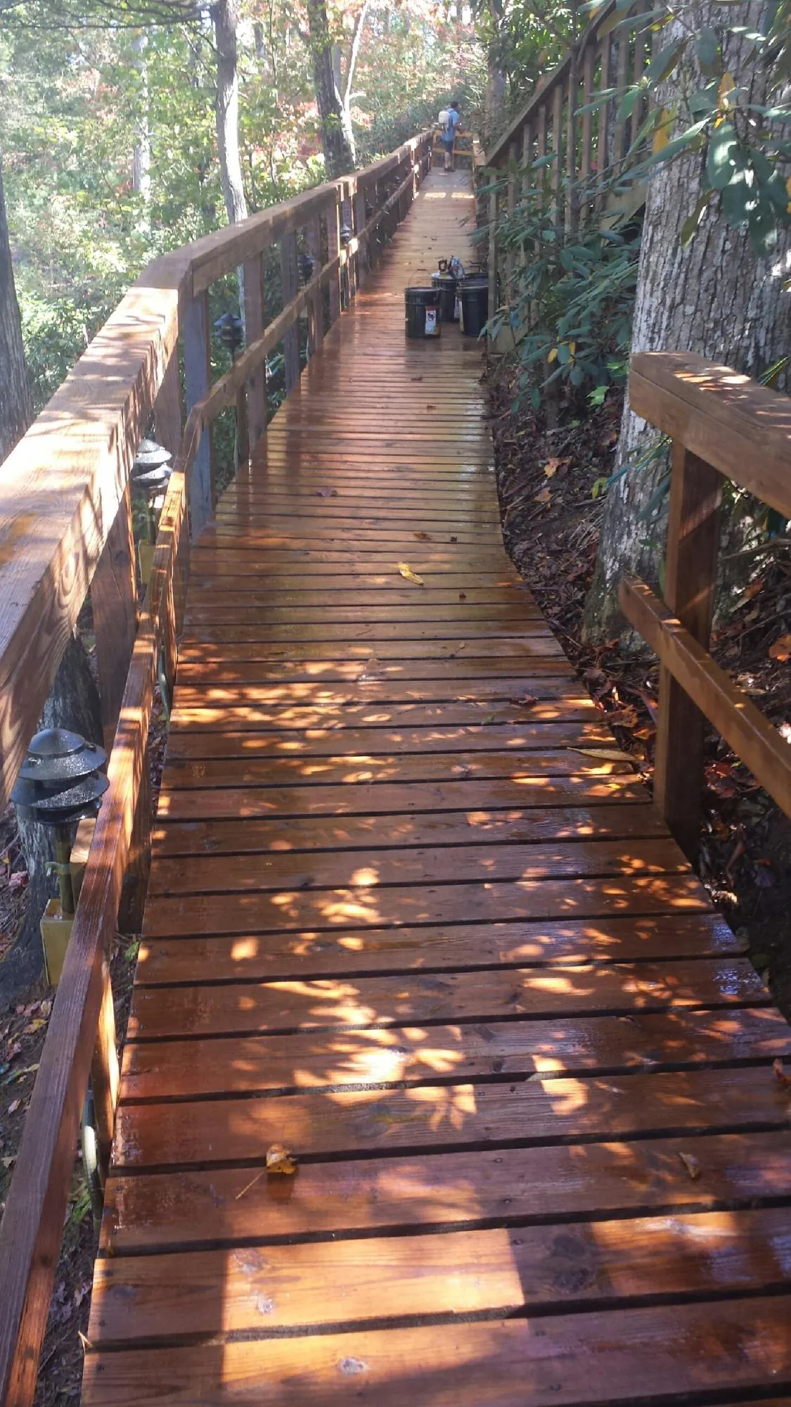 Freshly stained wood walkway winding through the woods in Sun City Center